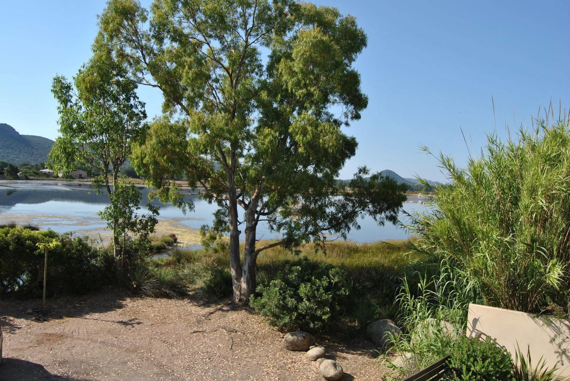 Les Roches Blanches Porto-Vecchio (Corsica) Exterior foto